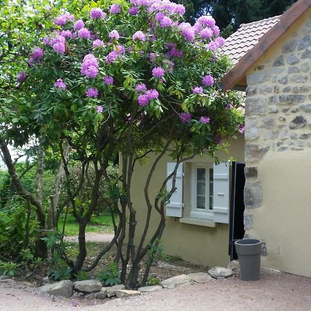 Le Cedre Enchante La Guiche Buitenkant foto