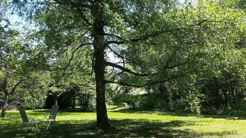Le Cedre Enchante La Guiche Buitenkant foto