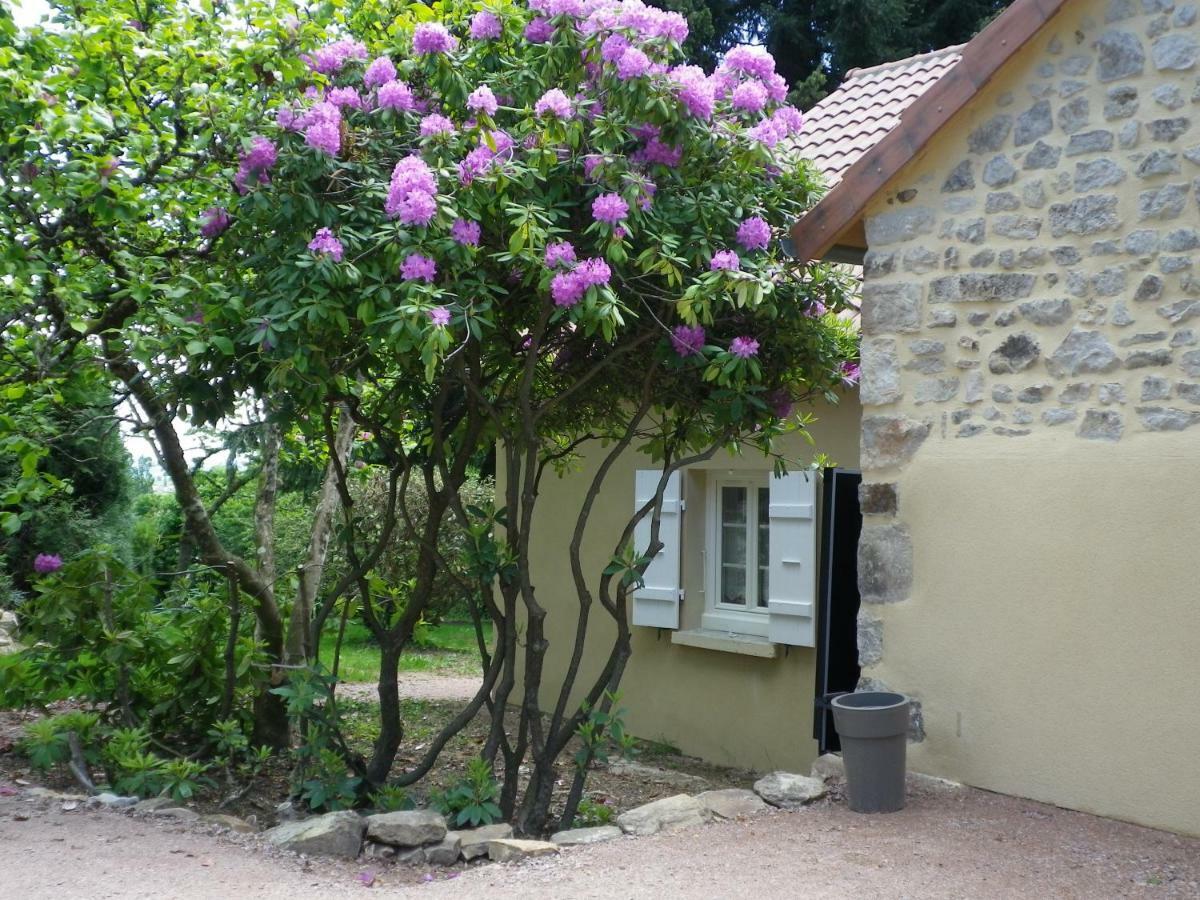 Le Cedre Enchante La Guiche Buitenkant foto