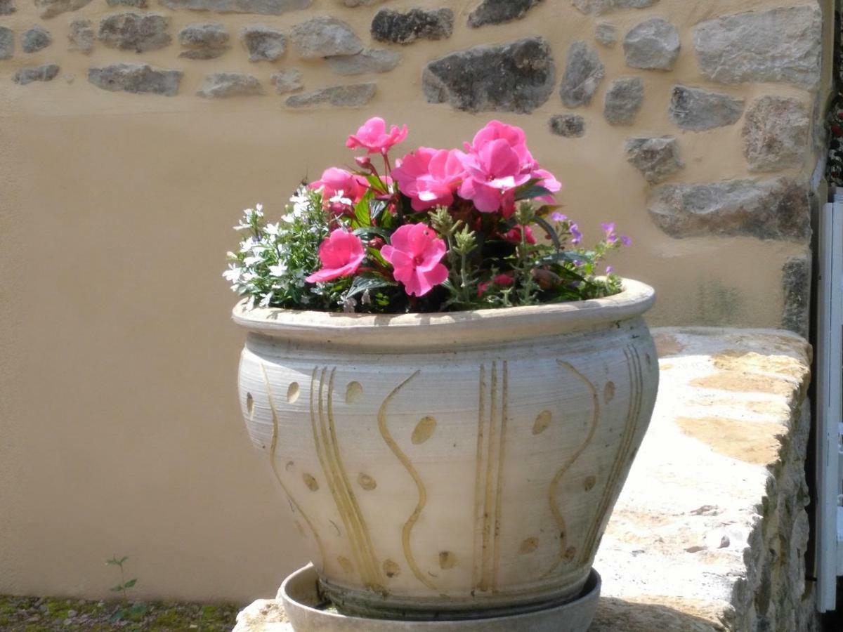 Le Cedre Enchante La Guiche Buitenkant foto